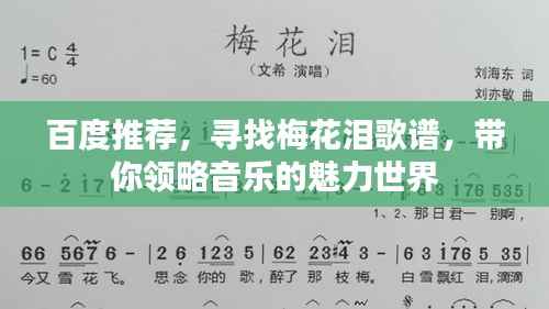 百度推荐,寻找梅花泪歌谱,带你领略音乐的魅力世界