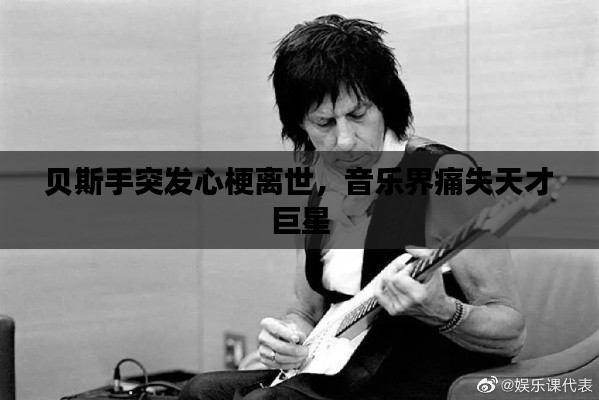 贝斯手突发心梗离世,音乐界痛失天才巨星