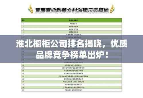 昙花一现 第3页