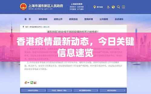 香港疫情最新动态,今日关键信息速览