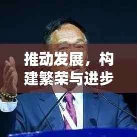 推动发展,构建繁荣与进步的关键路径,策略与实践落地执行