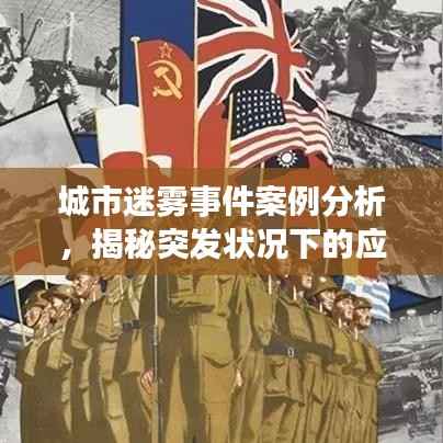 城市迷雾事件案例分析,揭秘突发状况下的应对策略与教训