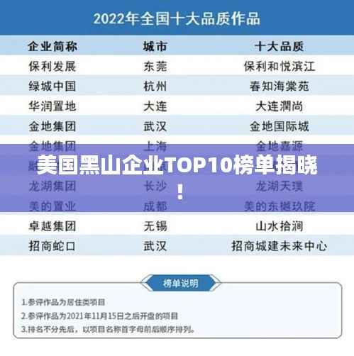 美国黑山企业TOP10榜单揭晓!