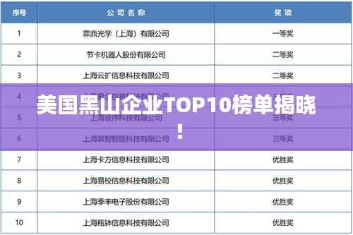 美国黑山企业TOP10榜单揭晓!