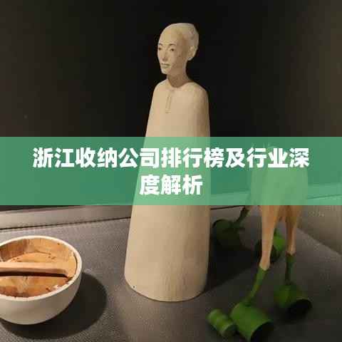 浙江收纳公司排行榜及行业深度解析