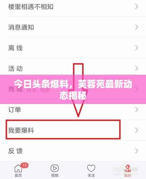 今日头条爆料，芙蓉苑最新动态揭秘