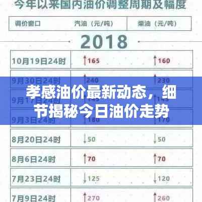 孝感油价最新动态,细节揭秘今日油价走势