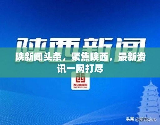 陕新闻头条，聚焦陕西，最新资讯一网打尽