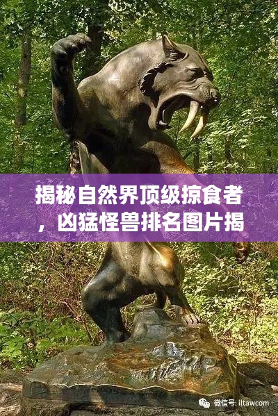 揭秘自然界顶级掠食者,凶猛怪兽排名图片揭示力量与威严