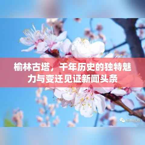 榆林古塔,千年历史的独特魅力与变迁见证新闻头条