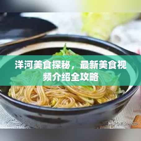 洋河美食探秘，最新美食视频介绍全攻略