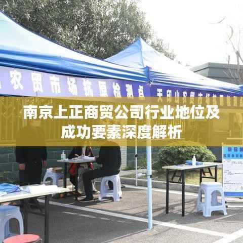 南京上正商贸公司行业地位及成功要素深度解析
