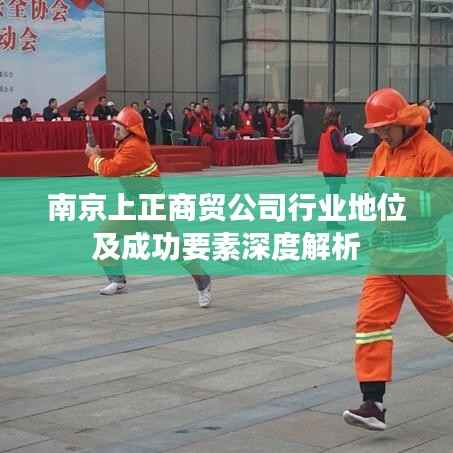南京上正商贸公司行业地位及成功要素深度解析
