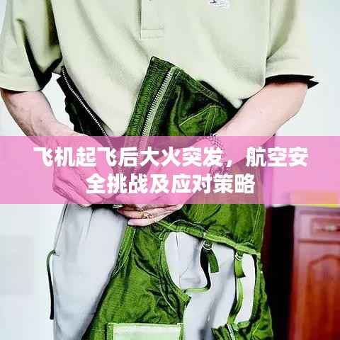 飞机起飞后大火突发,航空安全挑战及应对策略
