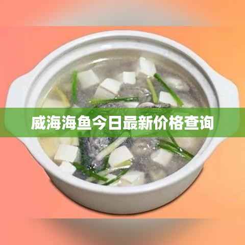 威海海鱼今日最新价格查询