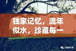 独家记忆,流年似水,珍藏每一刻的青春年华
