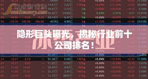 隐形巨头曝光,揭秘行业前十公司排名!