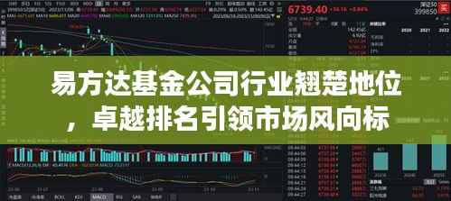 易方达基金公司行业翘楚地位,卓越排名引领市场风向标
