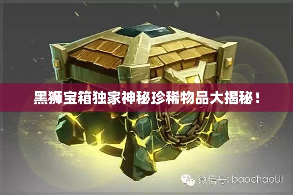 黑狮宝箱独家神秘珍稀物品大揭秘!