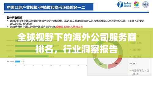 全球视野下的海外公司服务商排名,行业洞察报告