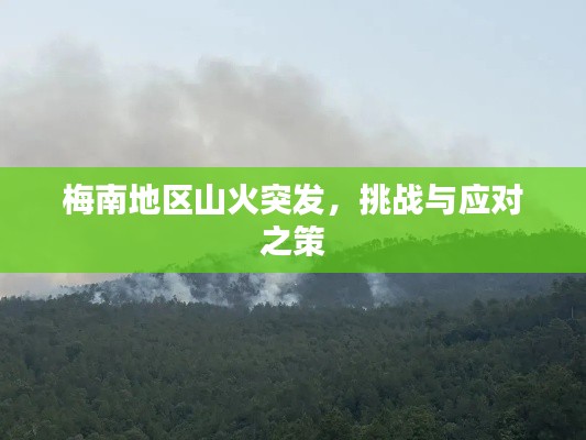 梅南地区山火突发，挑战与应对之策