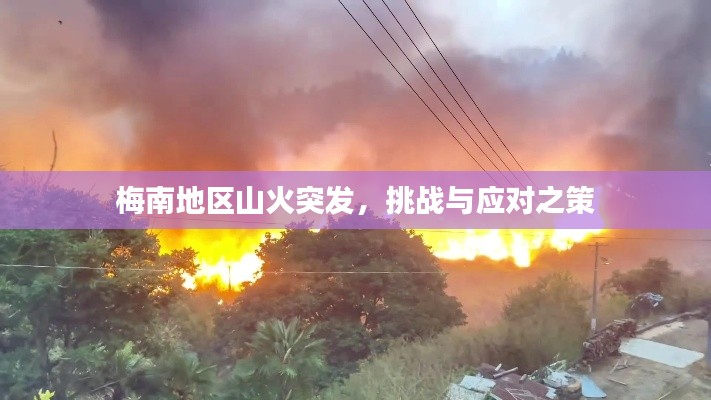 梅南地区山火突发,挑战与应对之策