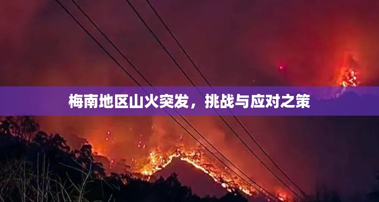 梅南地区山火突发,挑战与应对之策