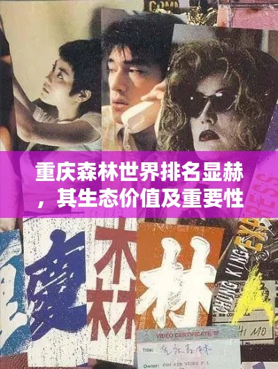 重庆森林世界排名显赫,其生态价值及重要性不可估量