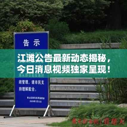 江滩公告最新动态揭秘，今日消息视频独家呈现！