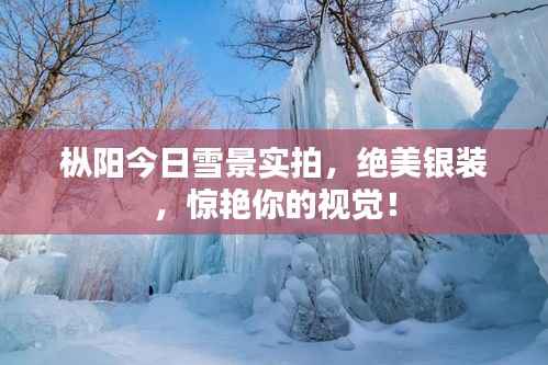 枞阳今日雪景实拍,绝美银装,惊艳你的视觉!