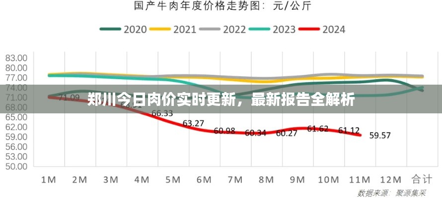 郑川今日肉价实时更新,最新报告全解析