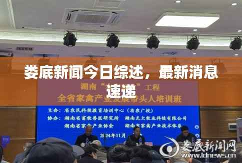 娄底新闻今日综述,最新消息速递