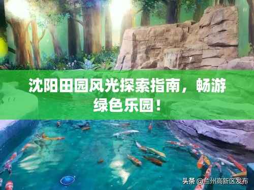 沈阳田园风光探索指南,畅游绿色乐园!