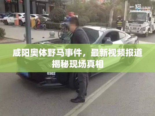咸阳奥体野马事件,最新视频报道揭秘现场真相