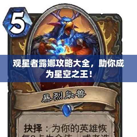 观星者露娜攻略大全,助你成为星空之王!