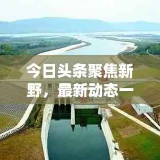 今日头条聚焦新野,最新动态一网打尽