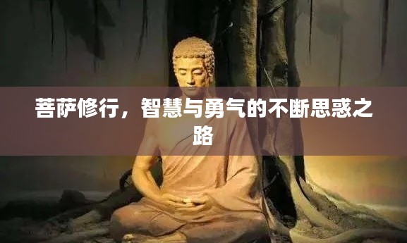 菩萨修行,智慧与勇气的不断思惑之路