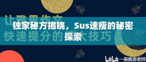 独家秘方揭晓,Sus速瘦的秘密探索