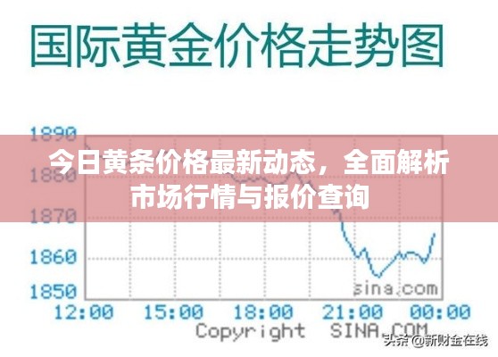今日黄条价格最新动态,全面解析市场行情与报价查询