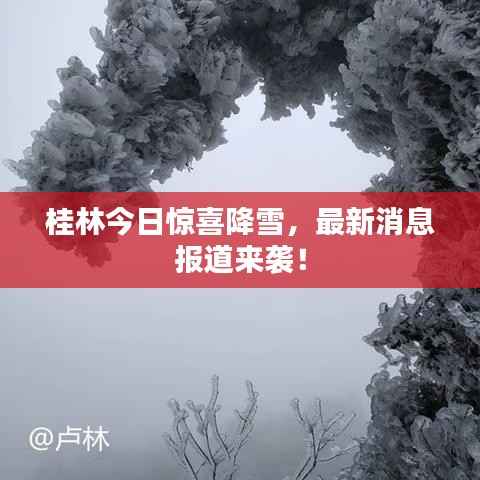 桂林今日惊喜降雪，最新消息报道来袭！