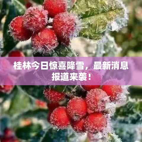 桂林今日惊喜降雪,最新消息报道来袭!