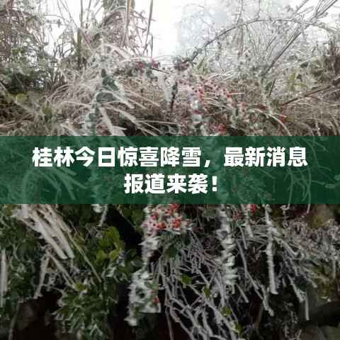 桂林今日惊喜降雪,最新消息报道来袭!