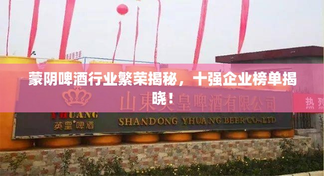 蒙阴啤酒行业繁荣揭秘,十强企业榜单揭晓!