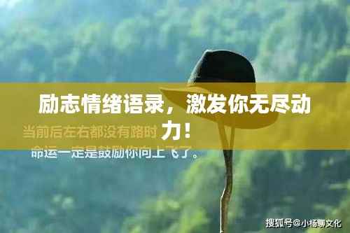 励志情绪语录，激发你无尽动力！