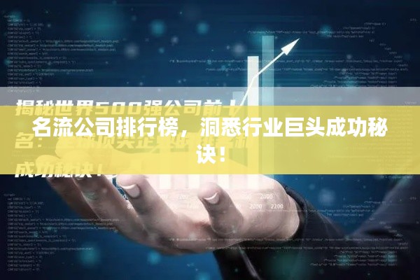名流公司排行榜,洞悉行业巨头成功秘诀!