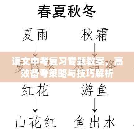 语文中考复习专题教案，高效备考策略与技巧解析