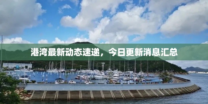 港湾最新动态速递,今日更新消息汇总