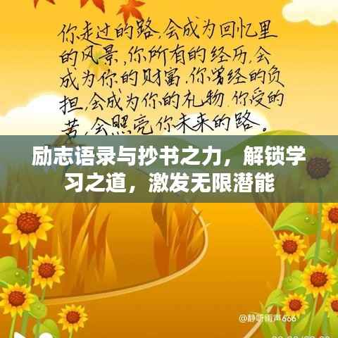 励志语录与抄书之力，解锁学习之道，激发无限潜能