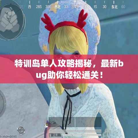 特训岛单人攻略揭秘,最新bug助你轻松通关!