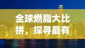 全球燃脂大比拼,探寻最有效的减脂秘诀!